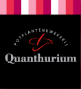 Potplantenkwekerij Quanthurium